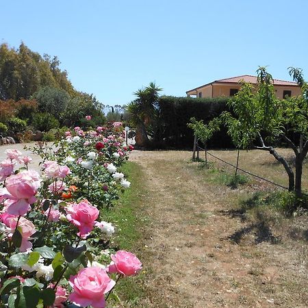 Bed&breakfast Le Camelie Alghero Eksteriør billede