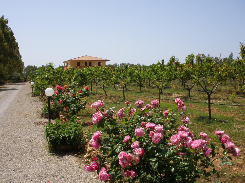 Bed&breakfast Le Camelie Alghero Eksteriør billede