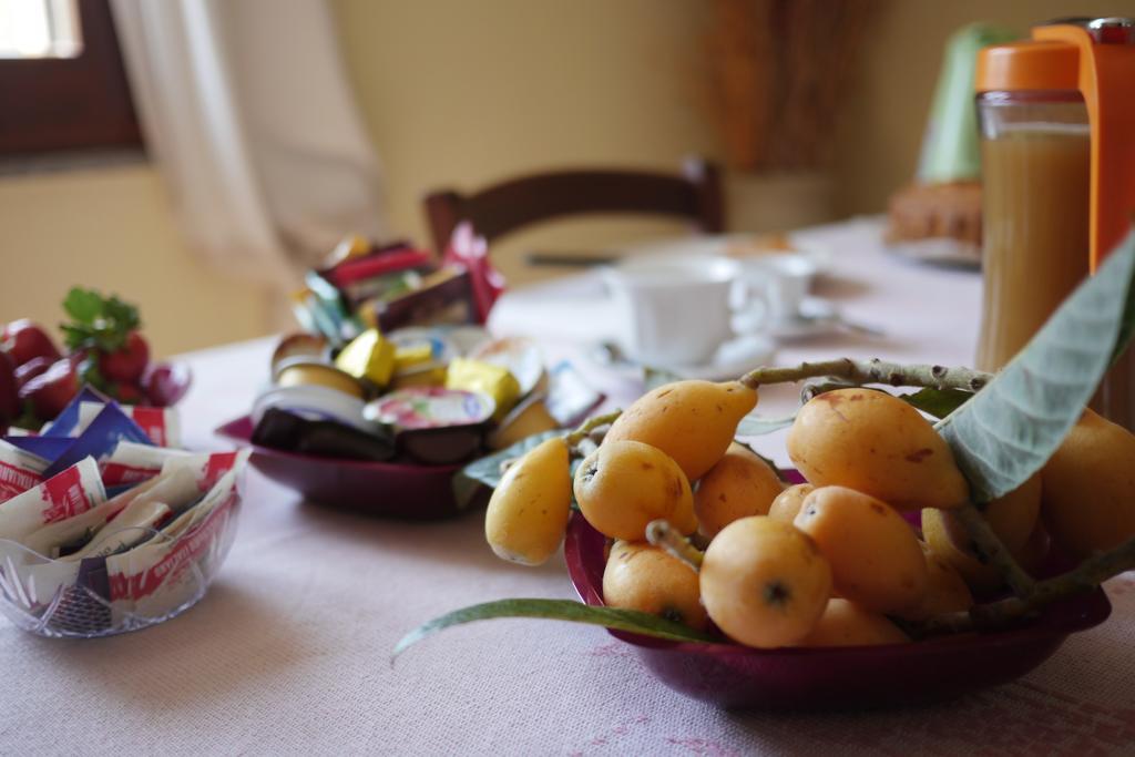 Bed&breakfast Le Camelie Alghero Eksteriør billede