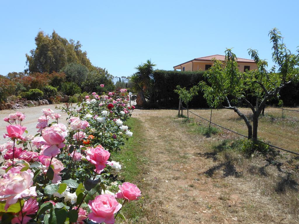 Bed&breakfast Le Camelie Alghero Eksteriør billede
